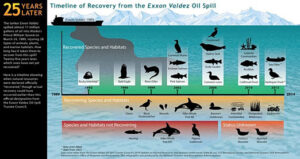 M/T Exxon Valdez: The worst accident which changed the tanker Industry